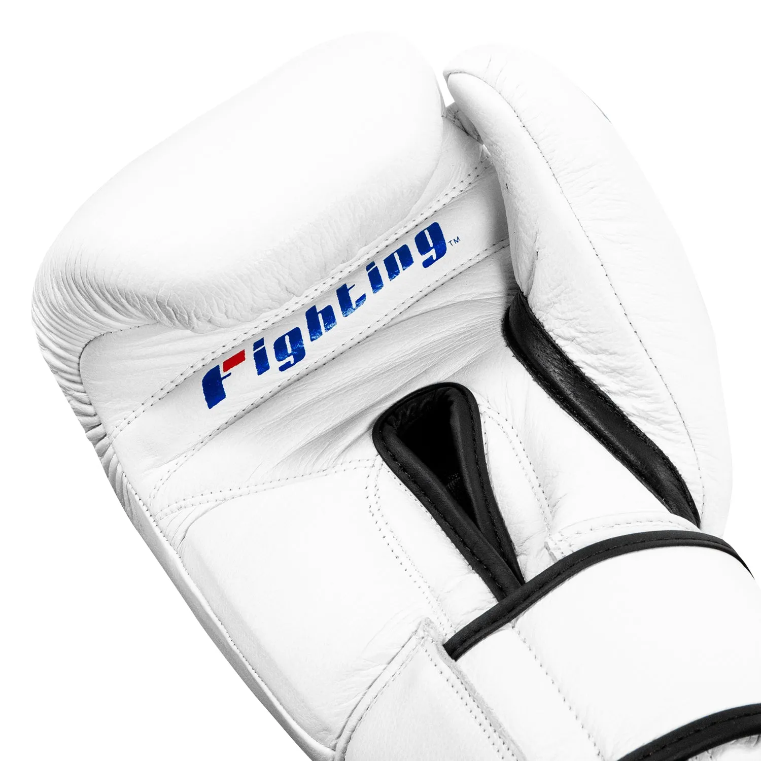 Fighting Fury Professional Training Gloves