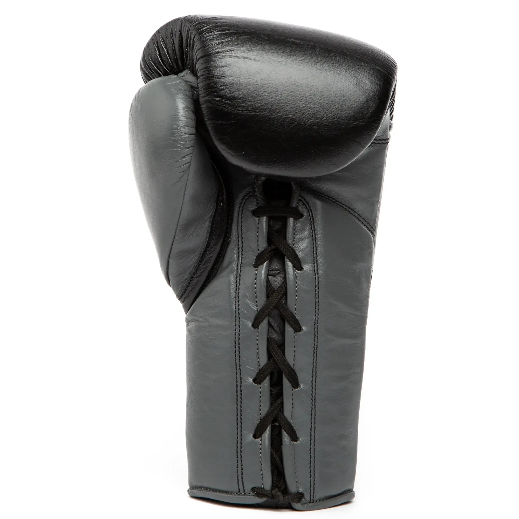 Powerlock 2 Pro Fight Boxing Gloves