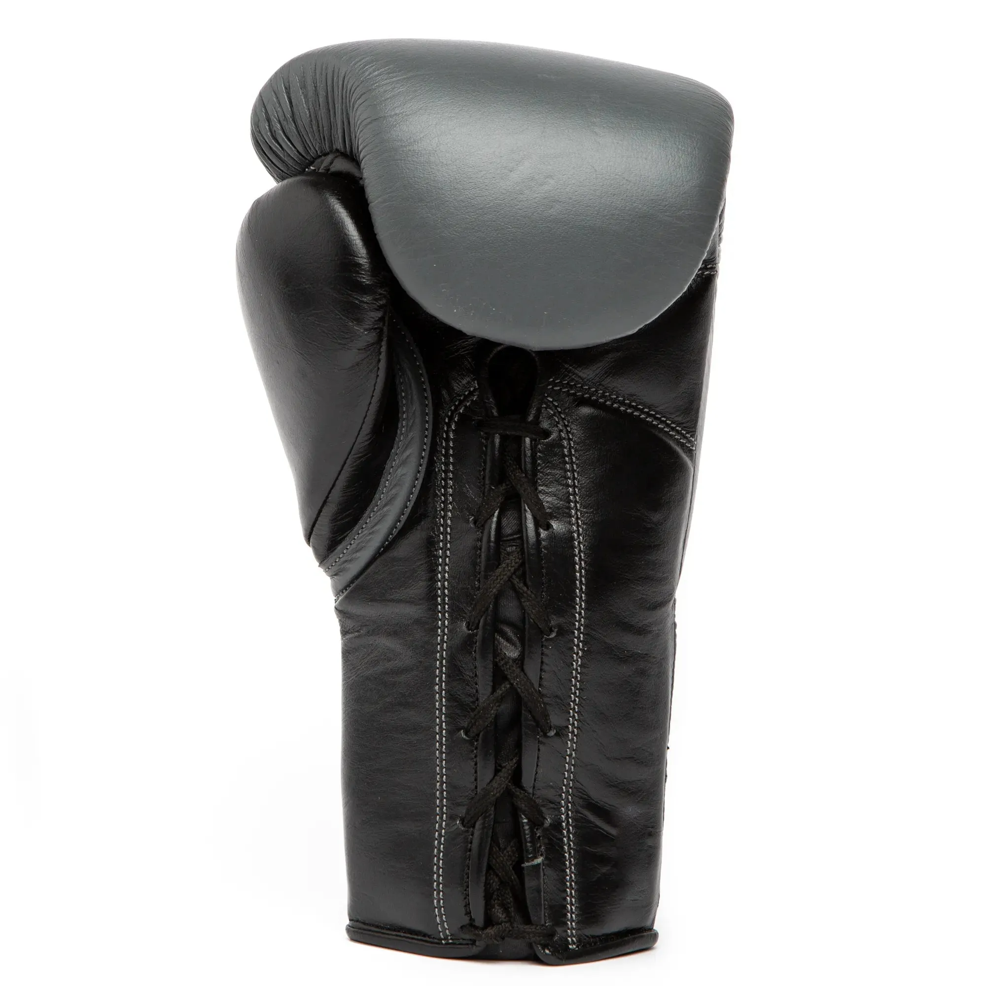 Powerlock 2 Pro Fight Boxing Gloves